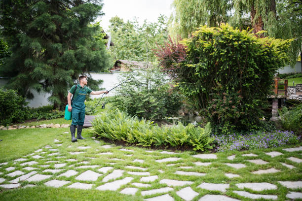 Best Affordable Pest Control Services  in East Uniontown, PA