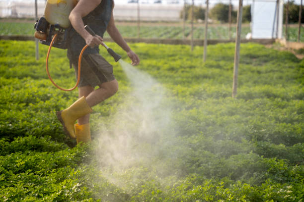 Best Best Pest Control Companies  in East Uniontown, PA