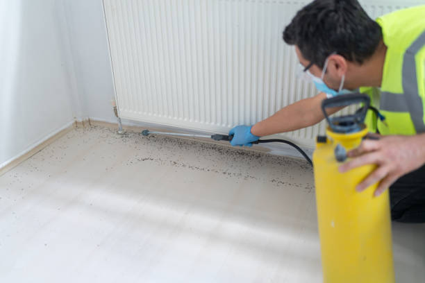 Pest Control for Restaurants in East Uniontown, PA