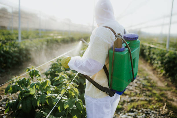 Flea Control Services in East Uniontown, PA